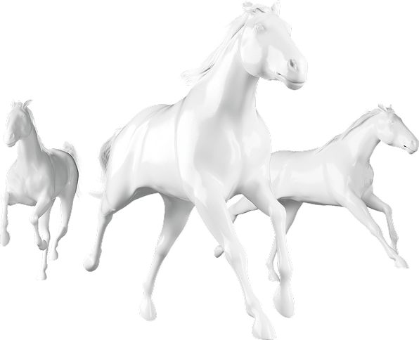 horses